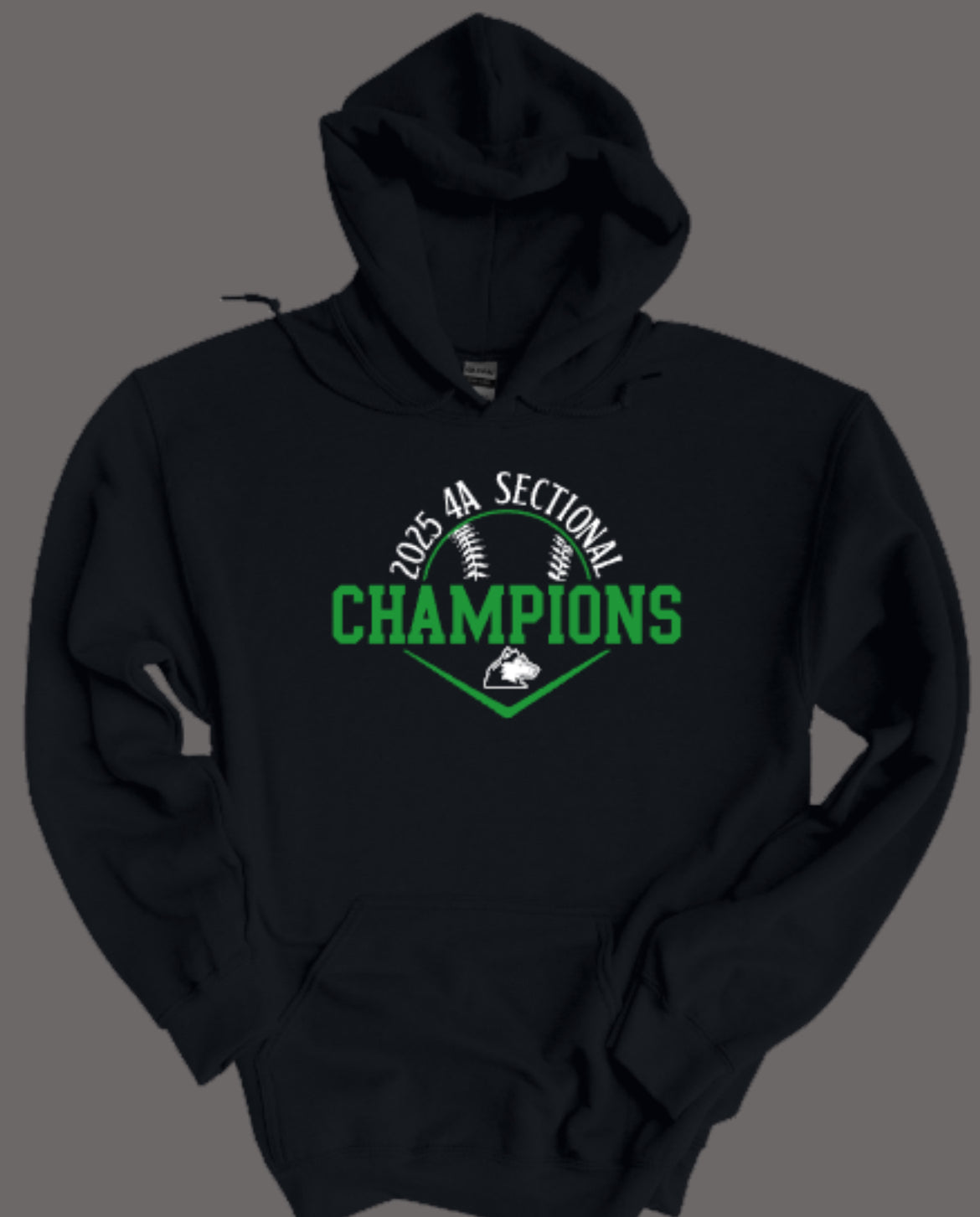 HUSKIES BASEBALL 2025 Sectional Champs Fleece Hooded Sweatshirt