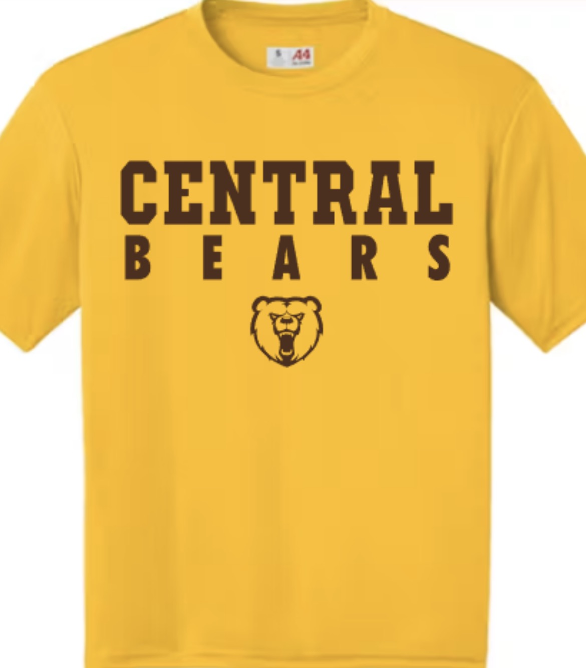 Central Bears Back to School Bundle