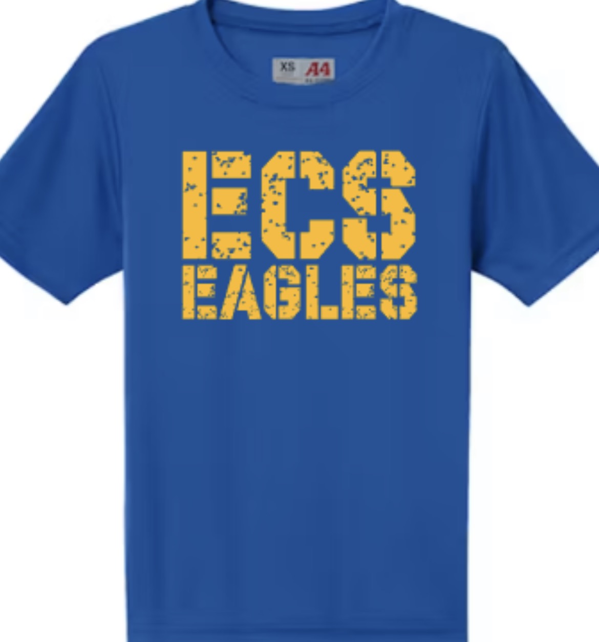 Eagles Ascend Cooling Performance Tee