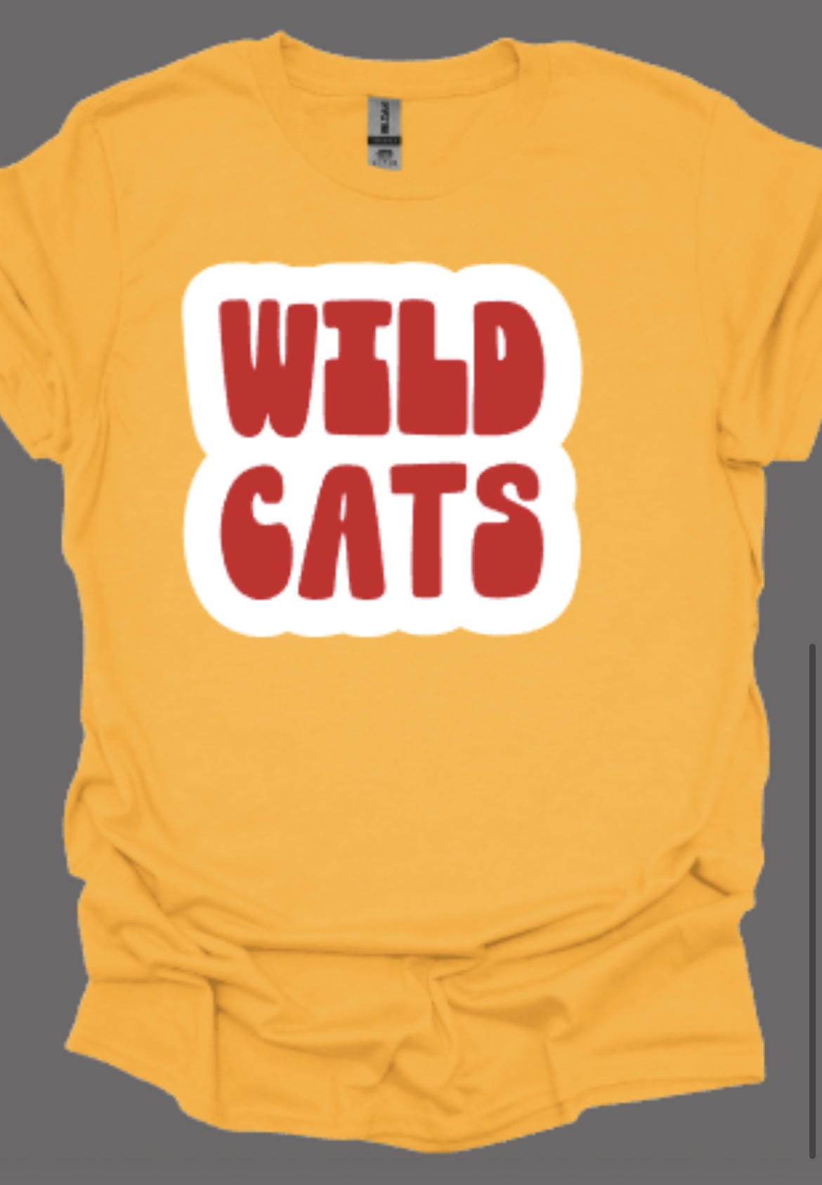 Wildcats Groovy Softstyle Tee