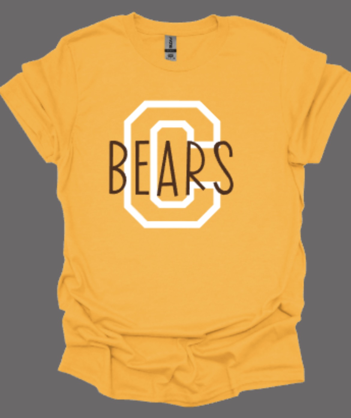 Central Bears Fervor Softstyle Tee