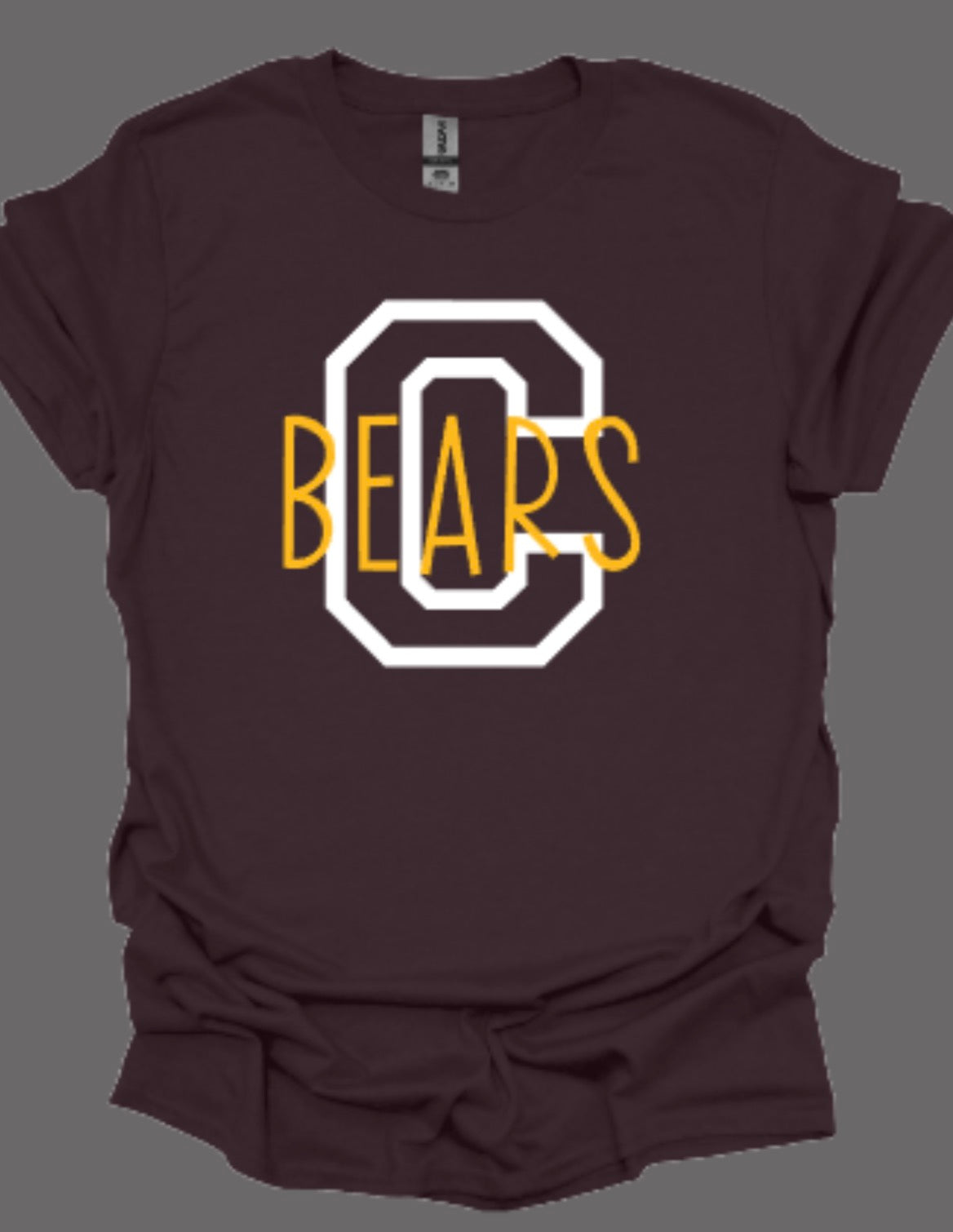 Central Bears Fervor Softstyle Tee