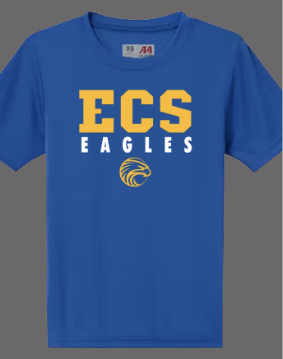 ECS Eagles Varsity Cooling Performance Tee
