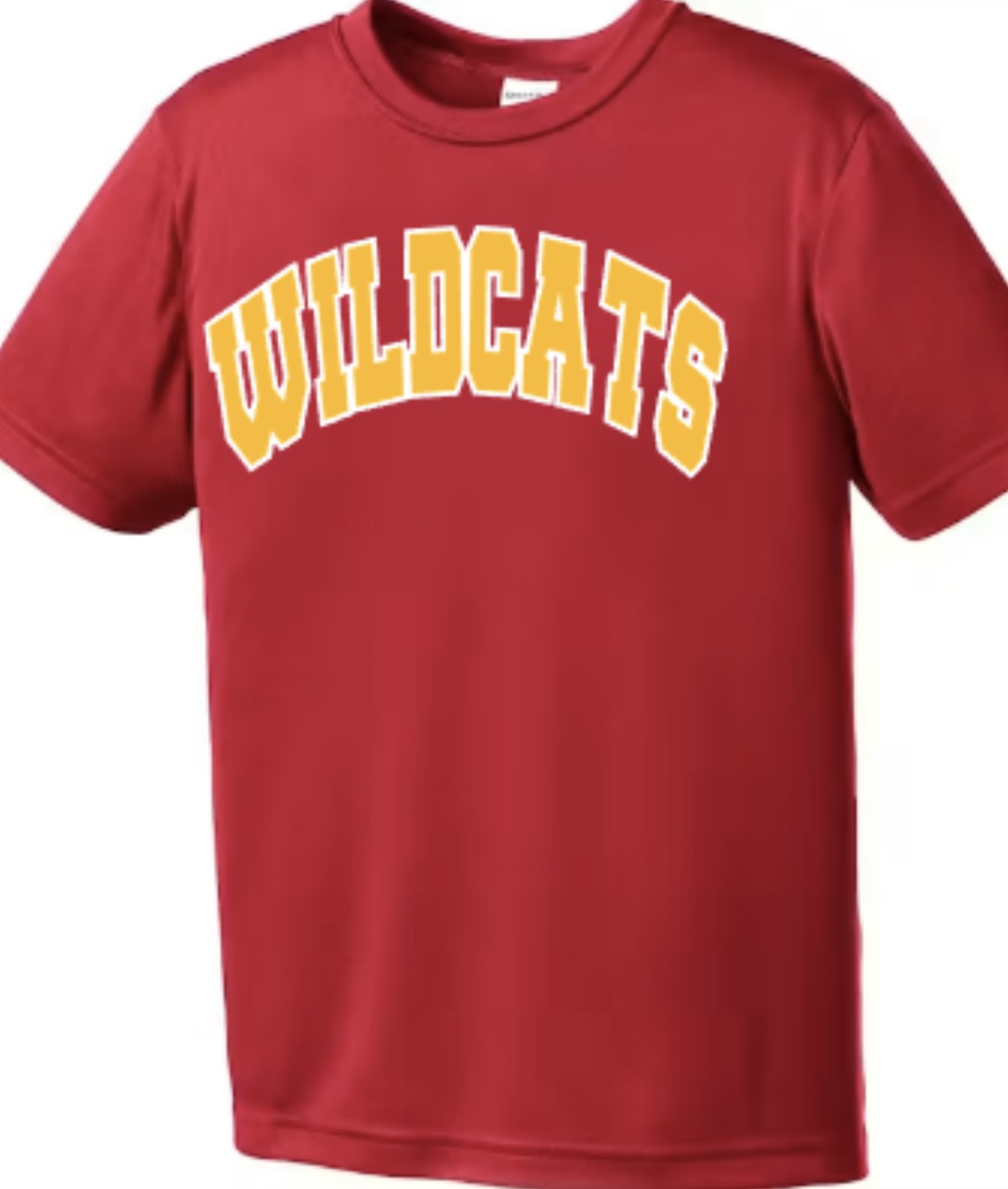 Wildcats Arch Cooling Performance Tee