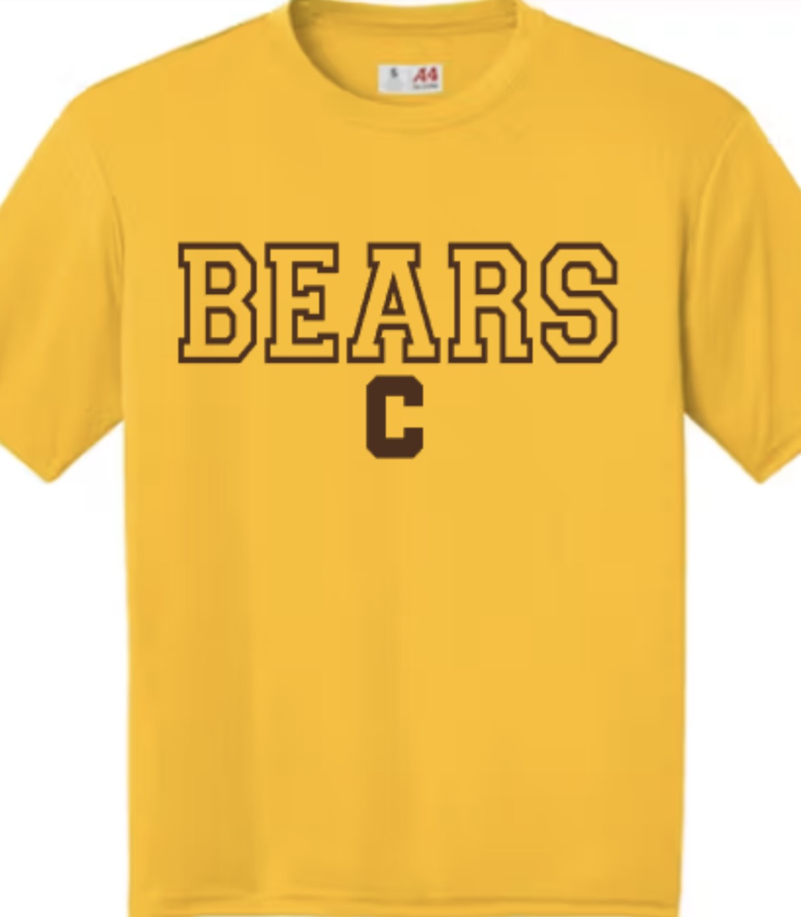 Central Bears Letterman Cooling Performance Tee