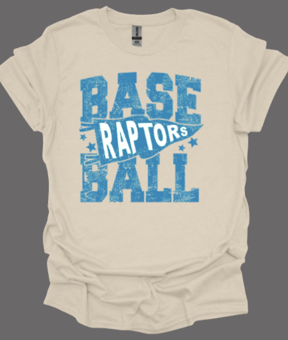 Raptors Baseball Pennant Softstyle Tee