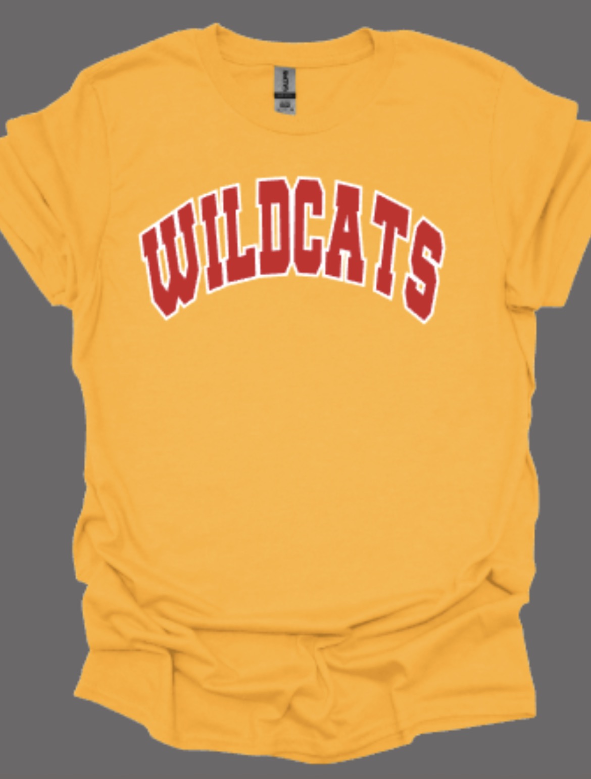 Wildcats Arch Softstyle Tee